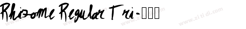 Rhizome Regular Tri字体转换